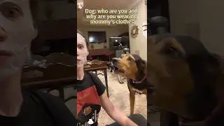 How dogs react to you when you wear a mask 🐕😂 #heartofadog #dogscorner #moderndog #dogclinic