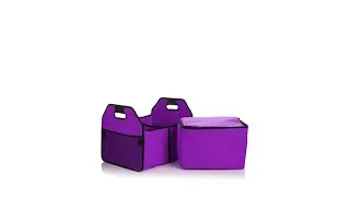 2Section Trunk Organizer and Insulated Cooler
