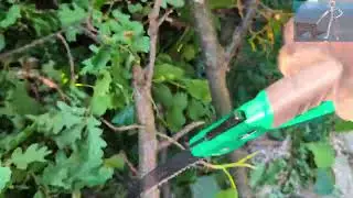 Hawksmoor pruning saw review @wonkeyjase #pruning #gardening #foryou 