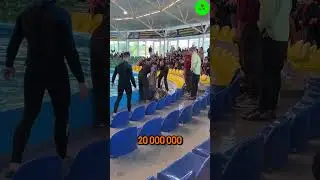 Дельфин выскочил из воды и упал перед зрителями в минском дельфинарии.