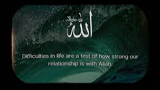 #everyone #highlights #shortvideo #muslim #islam #মুসলিম #হেদায়েত #worldmuslim #world #pakistan