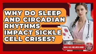 Why Do Sleep And Circadian Rhythms Impact Sickle Cell Crises? - Sickle Cell Wellness Guide