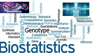 Frequency distribution//Class interval /limit/  boundary//cumulative frequency /relative frequency