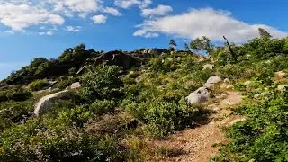 Highlight: Yosemite Lookout Point Trail (Yosemite National Park, California)