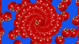 animated tomato green screen/ tomatoes vegetable ANIMATION on green screen