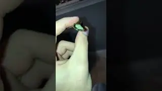 Dutch blunt