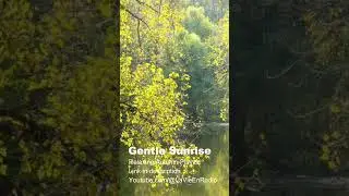 Gentle Sunrise &ndash; Autumn Instrumental Music [Shorts] #autumnmusic #autumn #relaxinginstrumental