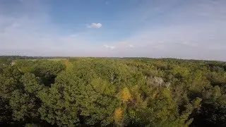 Little Woods Flying