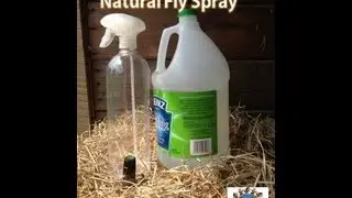 Natural Fly Spray For Your Horse
