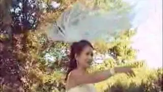 Bride's Vail, Toronto Wedding Videographer Videography GTA