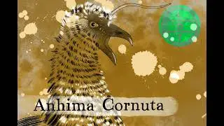 Episode 277 &ndash; Horned Screamer: Dem Bones