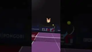 Smashing In table tennis￼￼ vr