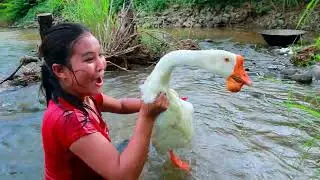 Top survival in forest - Catch Goose egg and Fish - Cooking Goose egg Eating delicious HD