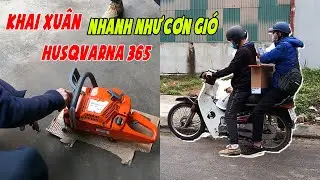 Khai Xu&acirc;n M&aacute;y Cưa X&iacute;ch Husqvarna 365 Cho Anh Kh&aacute;ch Cắt Chuy&ecirc;n Nghiệp