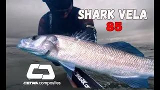 pescasub: gennaio 2026 #cetmacomposites #spearfishing #pesca #sports #fishing #pescasub