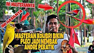 Masteran Kolibri Rahasia Pleci Nembak || Andre Pekatik
