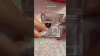 Supari box/silver supari/gold supari box / panbox/pandan/cigarette box/trending shorts/#jewellery