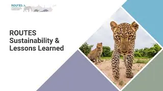 Sustainability & Lessons Learned | ROUTES Final Partnership Meeting