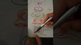 Vía Ascendente ( Espinotalámica  Lateral - Termoalgesia)