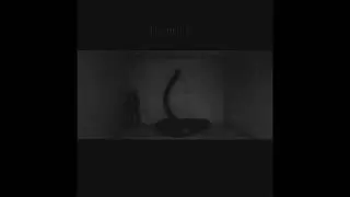 Fomar - Position in Silver