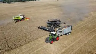 CLAAS LEXION 760 TT VS FENDT IDEAL 8 | ŻNIWA 2025 | AGRO-TEAM