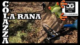 COLAZZA - saltando il Foliage del trail LA RANA 🐸