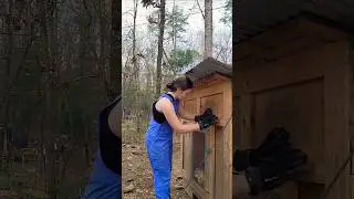 Moving the meat chicks #chickens #farming #farm #chicken #broilers #homesteading #cornishcross