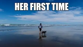 Life's A Beach | Pacific Northwest Beach Adventure