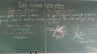 T.W ENGELMANN ( ON CLADOPHORA)  AND VON SACHS 'S EXPERIMENTS : PHOTOSYNTHESIS IN HIGHER PLANTS