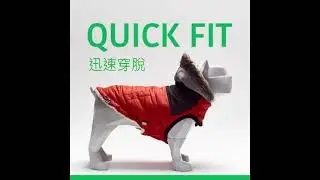 GF PET elastofit 中文