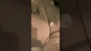 Como cortar los tornillos del toilet