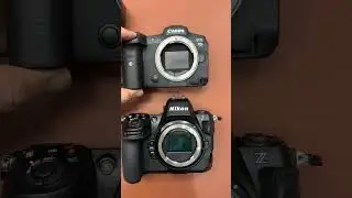 Canon R5 vs Nikon Z8