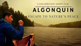 ALGONQUIN | Escape to Nature&rsquo;s peace | Documentary Short Film | 4K60fps