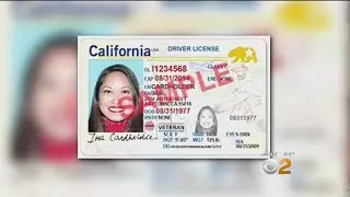 2 On Your Side: Real Headache For Real ID