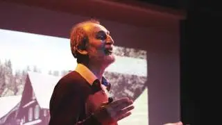 Lesena doba | Franc Pohleven | TEDxŽetale