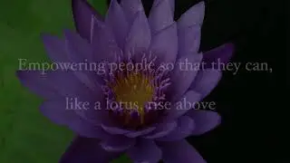The LOTUS Project Theme - music by John Adorney, featuring Daya