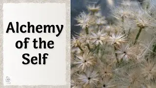 Alchemy of the Self