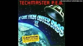 Techmaster PEB - Voices