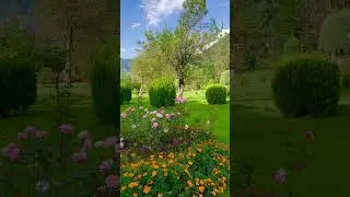 Pahalgam Park Kashmir 😍 #nature #shorts #explore #kashmir