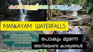 കാട്ടിനുള്ളിലെ 3 വെള്ളവചാട്ടങ്ങൾ ഒരു പുഴയിൽ അപ്പൂർവസങ്കമം |||mankayam waterfalls|||vichuz&indhuzvlog