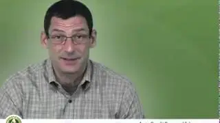Auto Loan Refinancing Refinance Car Loans with Bad Credit Online Lower your Rates