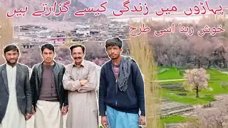 Beautiful Life in the Mountains of Gilgit Baltistan |Peaceful Village Life & Spring Views@noorzbalti