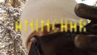 aninchar