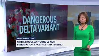Pfizer vaccine highly effective against delta variant, new study shows