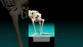 An Easier Way To Push During Childbirth: Open Your Pelvis #shorts #ytshort #pregnancy