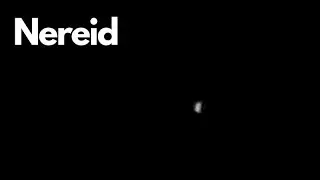 Exploring Nereid: Neptune's Mysterious Moon