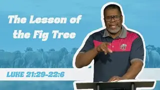 The Lesson of the Fig Tree // Luke 21:29-22:6