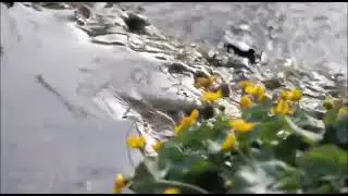 KESAN PESAN ANGGOTA PUSDIKPOMAL