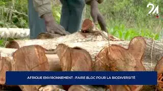 AFRIQUE ENVIRONNEMENT : FAIRE BLOC POUR LA BIODIVERSITÉ.
