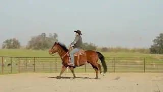 FiveStarJackson